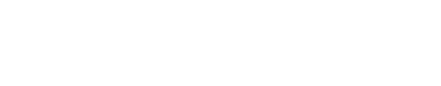 10280_RoxStar_Logo_WHITE.png
