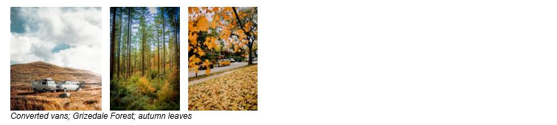 leaf1